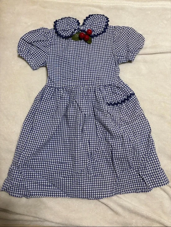 Vintage Blue Gingham Checkered Dress - Picture 1 of 4